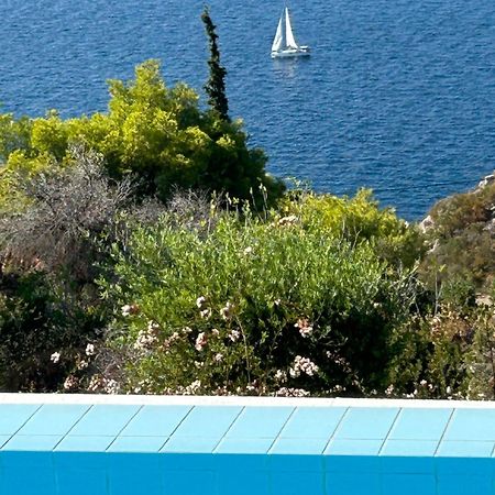 Vila Amalia テオロゴス エクステリア 写真